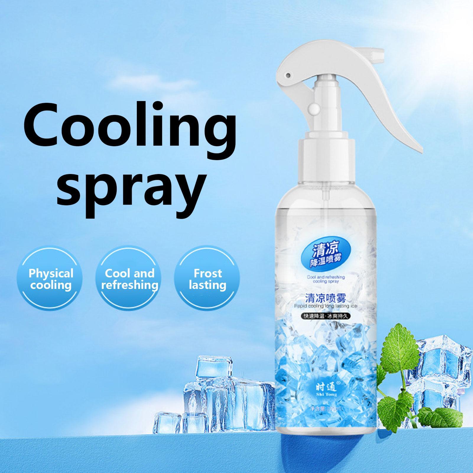 Heat Protectant Spray - 100ml Verkoelende Mistspray, verzachtende en beschermende